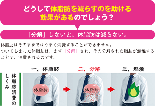 どうして体脂肪を減らすのを助ける効果があるのでしょう？ 「分解」しないと、体脂肪は減らない。体脂肪はそのままではうまく消費することができません。ついてしまった体脂肪は、まず「分解」され、その分解された脂肪が燃焼することで、消費されるのです。