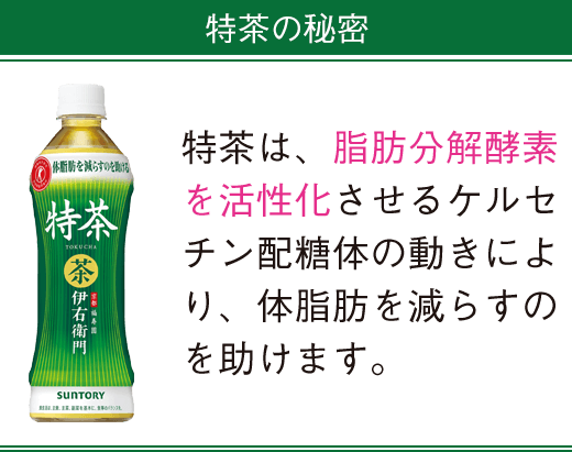 特茶の秘密 特茶は、脂肪分解酵素を活性化させるケルセチン配糖体の動きにより、体脂肪を減らすのを助けます。