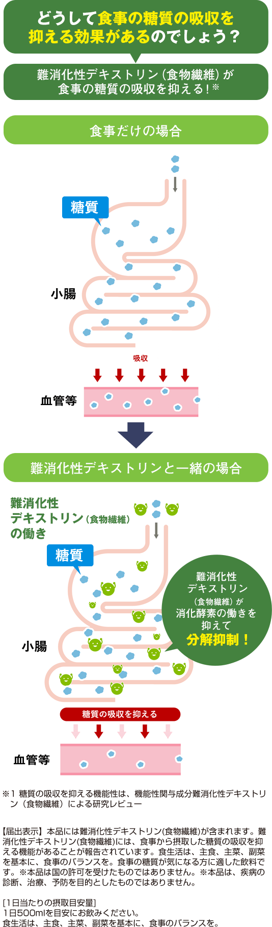 どうして食事の糖質の吸収を抑える効果があるのでしょう？難消化性デキストリン（食物繊維）が食事の糖質の吸収を抑える！