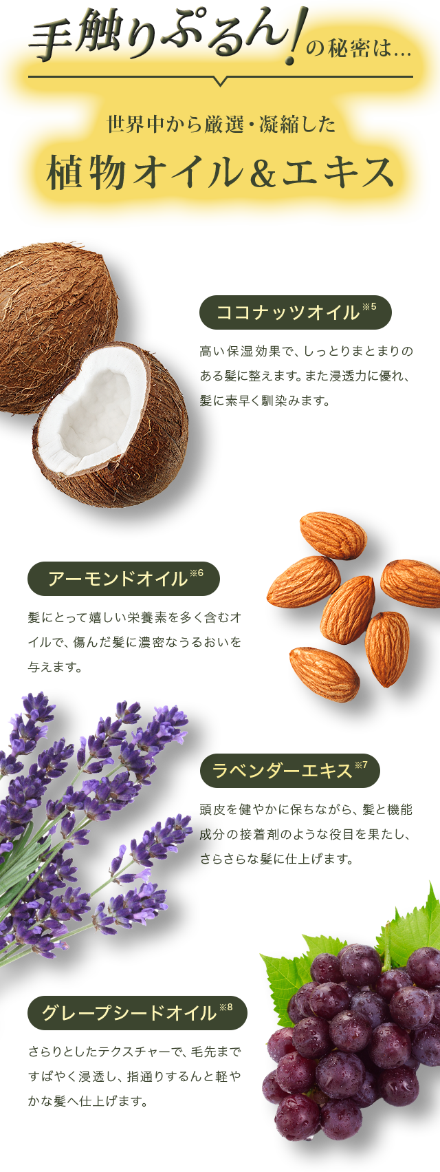 手触りぷるん！の秘密は…世界中から厳選・凝縮した植物オイル＆エキス