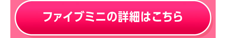 ファイブミニの購入はこちら