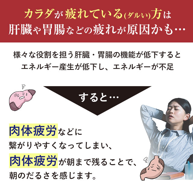カラダが疲れている(ダルい)方は肝臓や胃腸などの疲れが原因かも…