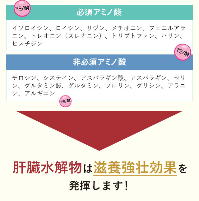 必須アミノ酸 非必須アミノ酸