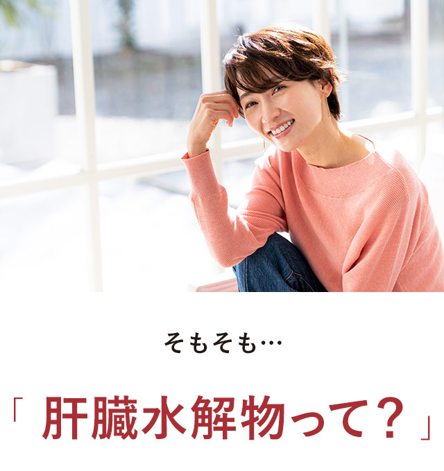 そもそも肝臓水解物って？