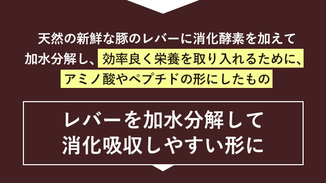 レバーを加水分解して消化吸収しやすい形に