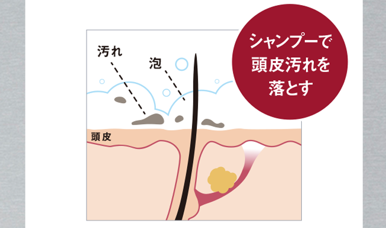 シャンプー頭皮汚れを落とす