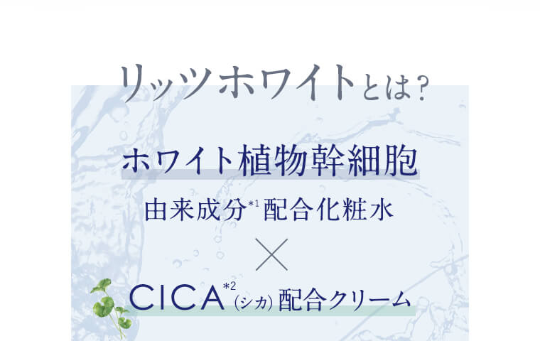 リッツホワイトとは？