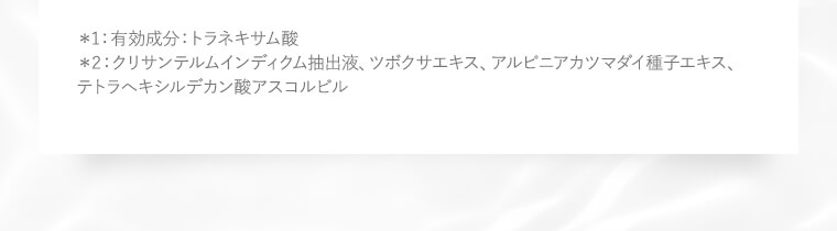 注釈