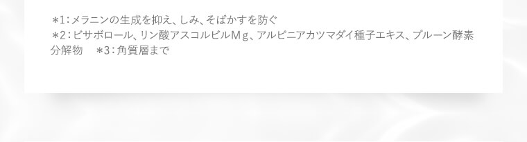 注釈