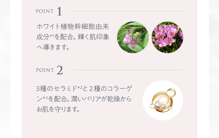 point.1、point.2