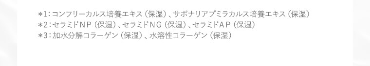 注釈