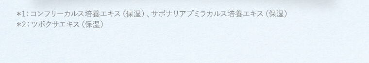 注釈