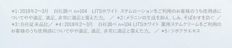 注釈