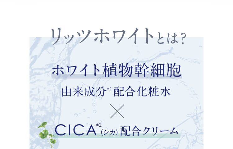 リッツホワイトとは？