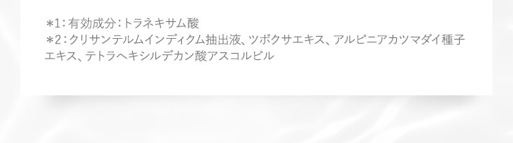 注釈