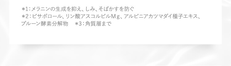 注釈