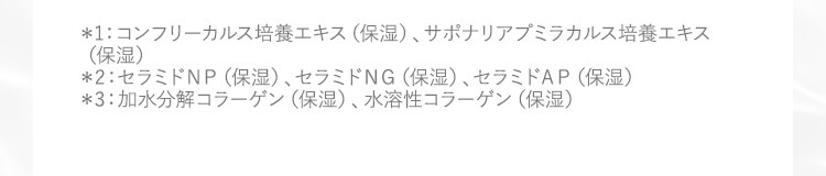 注釈
