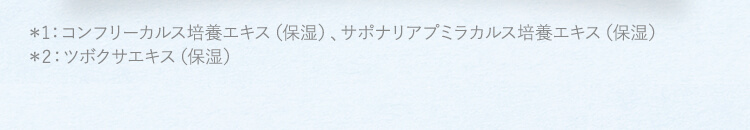 注釈