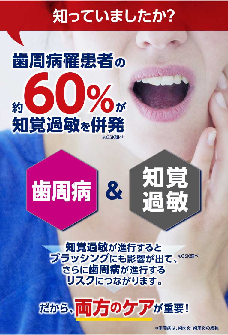 イメージ：2_a