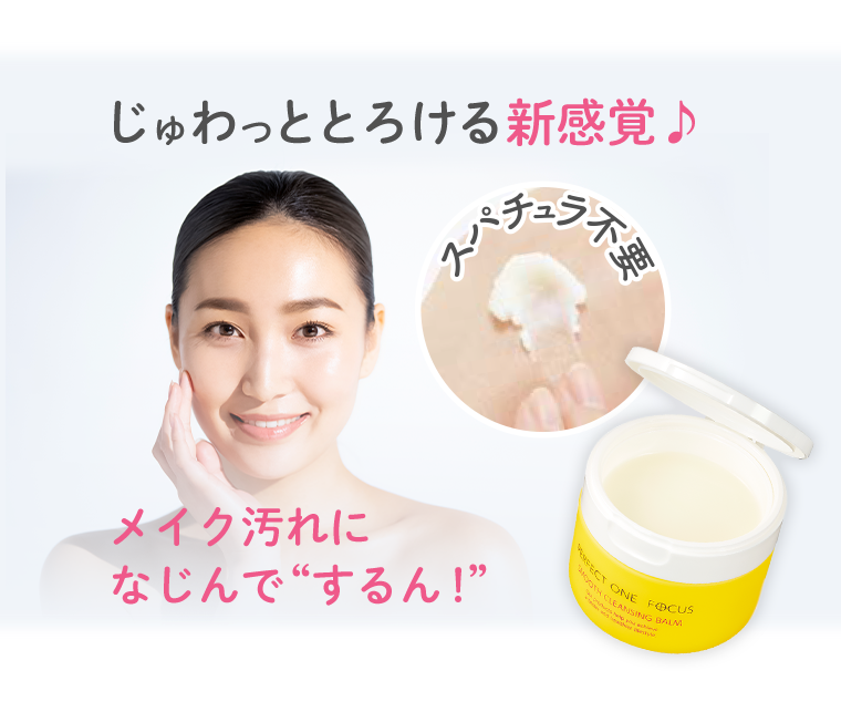 じゅわっととろける新感覚
