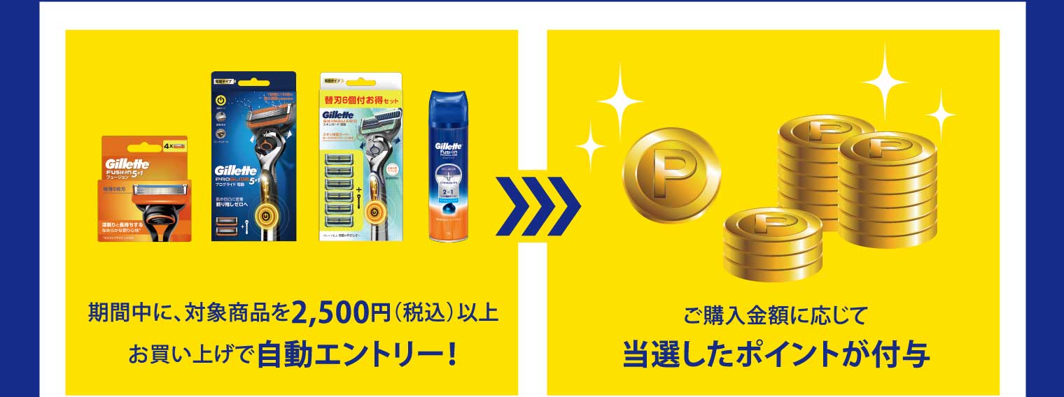 期間中に、対象商品を2,500円（税込）以上お買い上げで自動エントリー！ ご購入金額に応じて当選したポイントが付与
