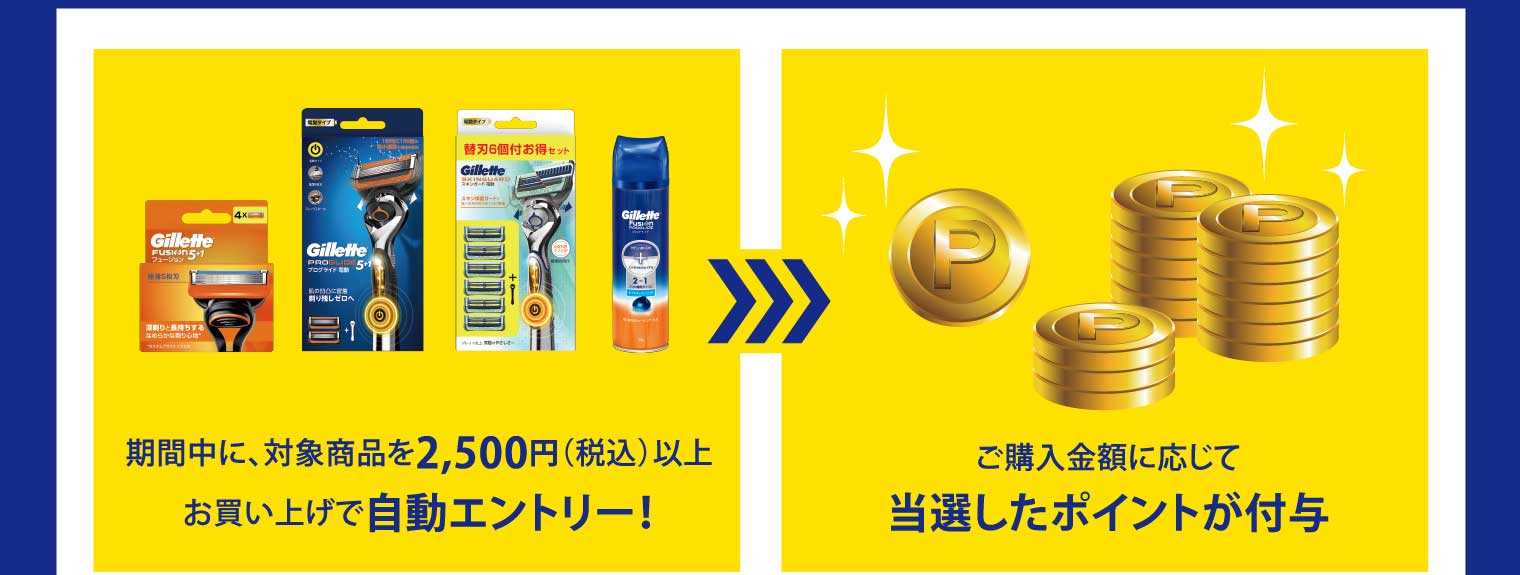 期間中に、対象商品を2,500円（税込）以上お買い上げで自動エントリー！ ご購入金額に応じて当選したポイントが付与