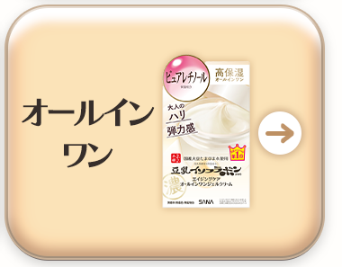 オールインワン