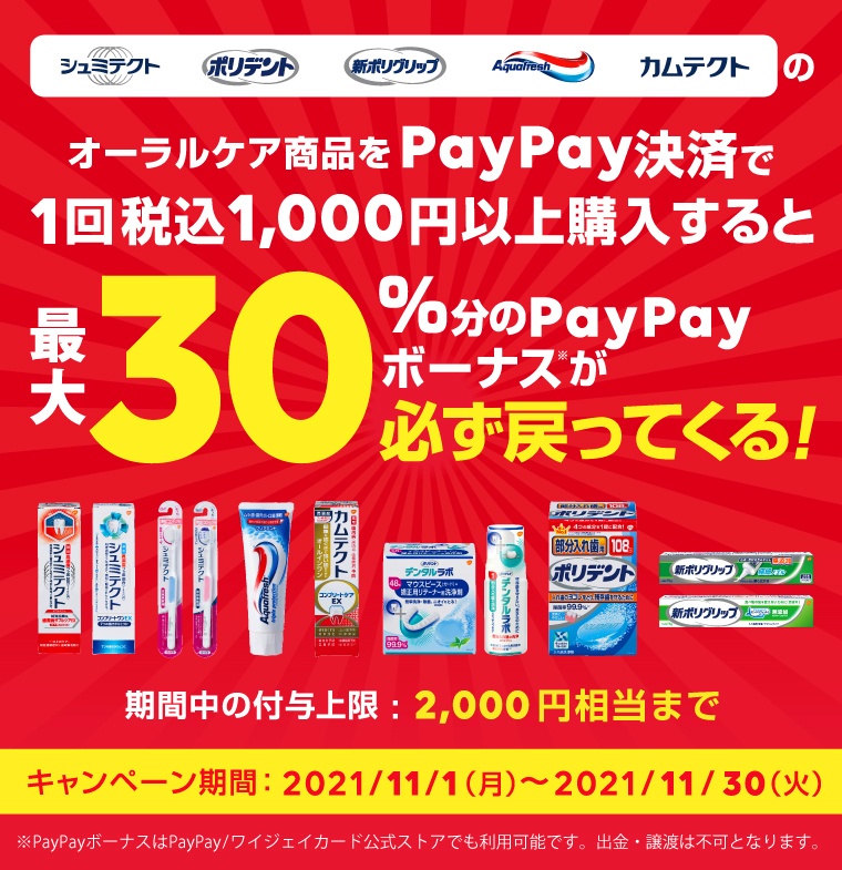 イメージ：paypay_lp_top