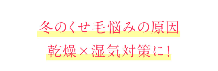 冬のくせ毛悩みの原因乾燥×湿気対策に！