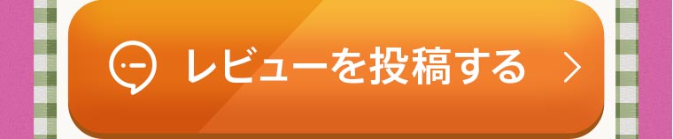 レビューを投稿する