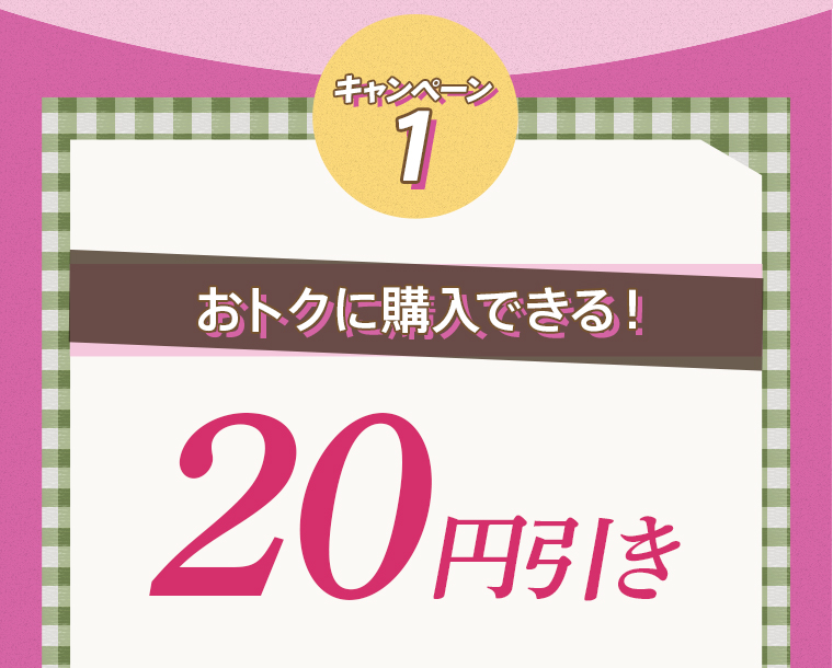 キャンペーン1:おトクに購入できる！20円引き