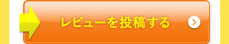 レビューを投稿する