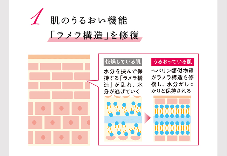 1、肌のうるおい機能「ラメラ構造」を修復