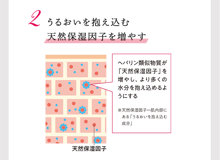 2、うるおいを抱え込む天然保湿因子を増やす