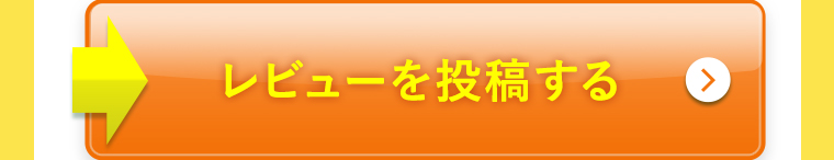 レビューを投稿する