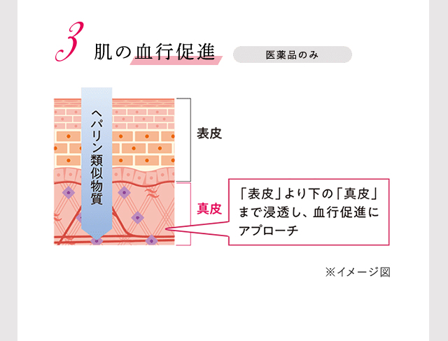 3、肌の血行促進