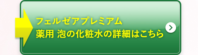 フェルゼアプレミアム 薬用 泡の化粧水の詳細はこちら