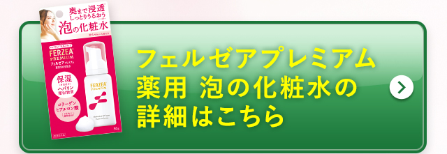 フェルゼアプレミアム 薬用 泡の化粧水の詳細はこちら