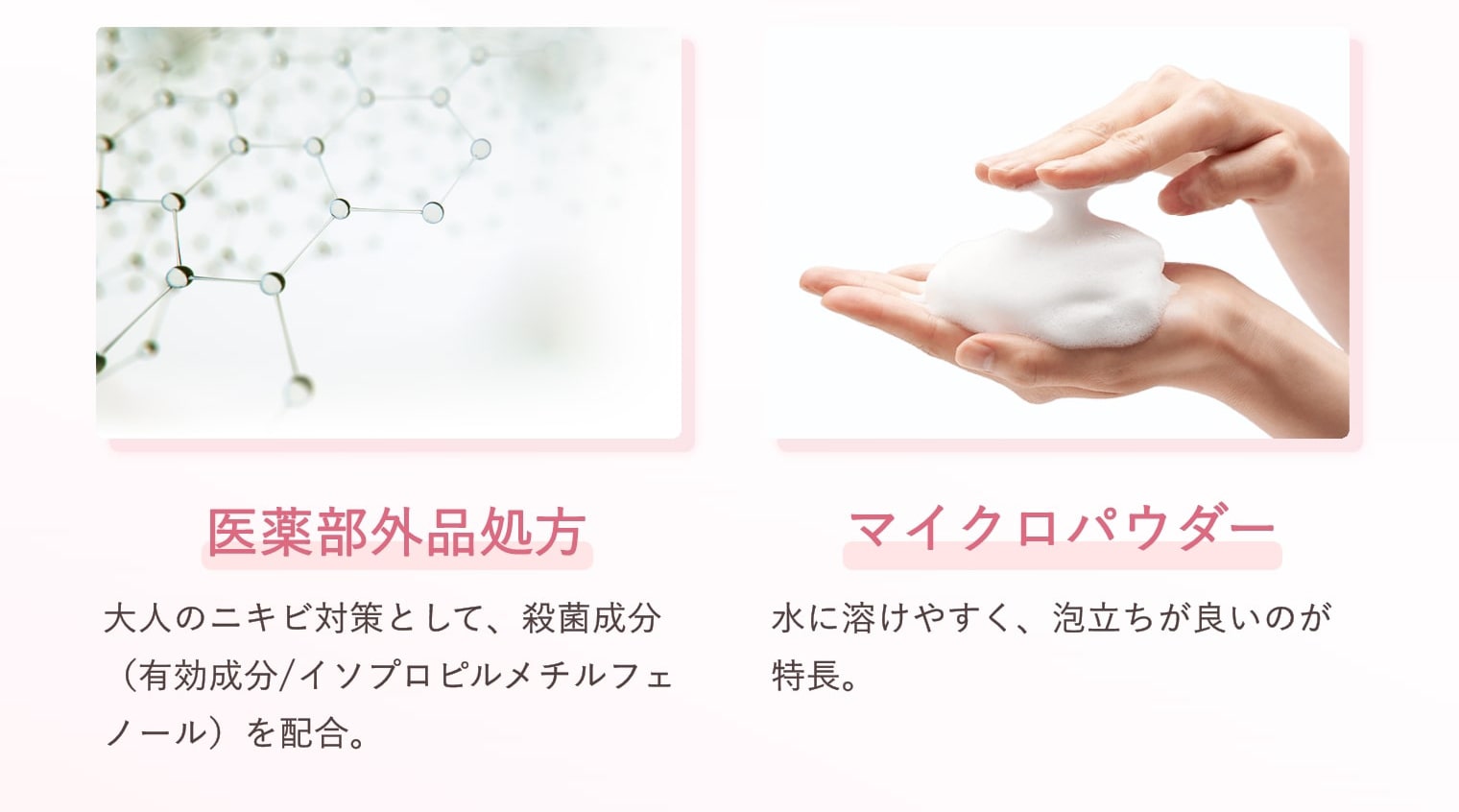 ・医薬部外品処方　大人のニキビ対策として、殺菌成分（有効成分/イソプロピルメチルフェノール）を配合。 ・マイクロパウダー　水に溶けやすく、泡立ちが良いのが特長。