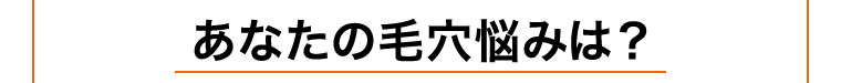 あなたの毛穴悩みは？