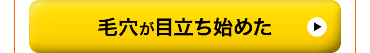 毛穴が目立ち始めた