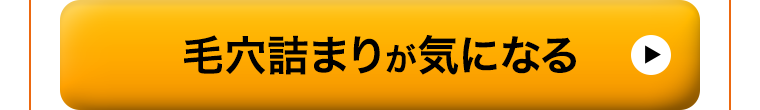毛穴詰まりが気になる