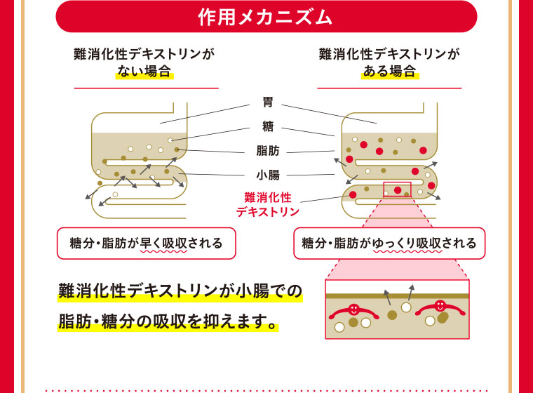 作用メカニズム／難消化性デキストリンがある場合 糖分・脂肪がゆっくり吸収される／難消化性デキストリンが小腸での脂肪・糖分の吸収を抑えます。