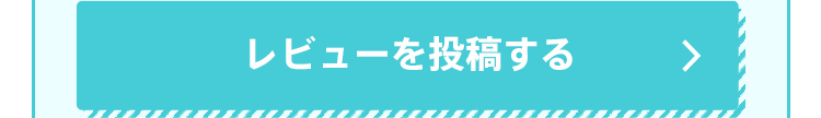レビューを投稿する