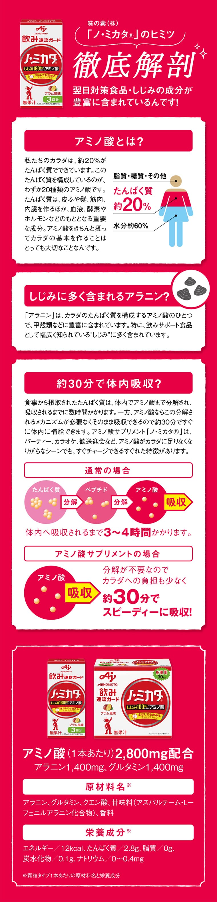 徹底解剖