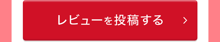 レビューを投稿する