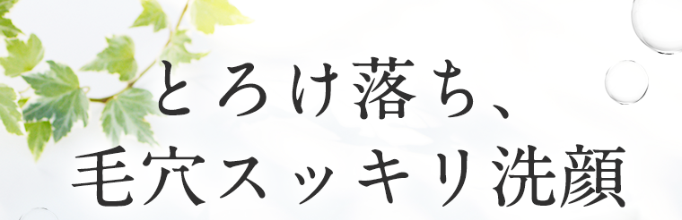 とろけ落ち、毛穴スッキリ洗顔