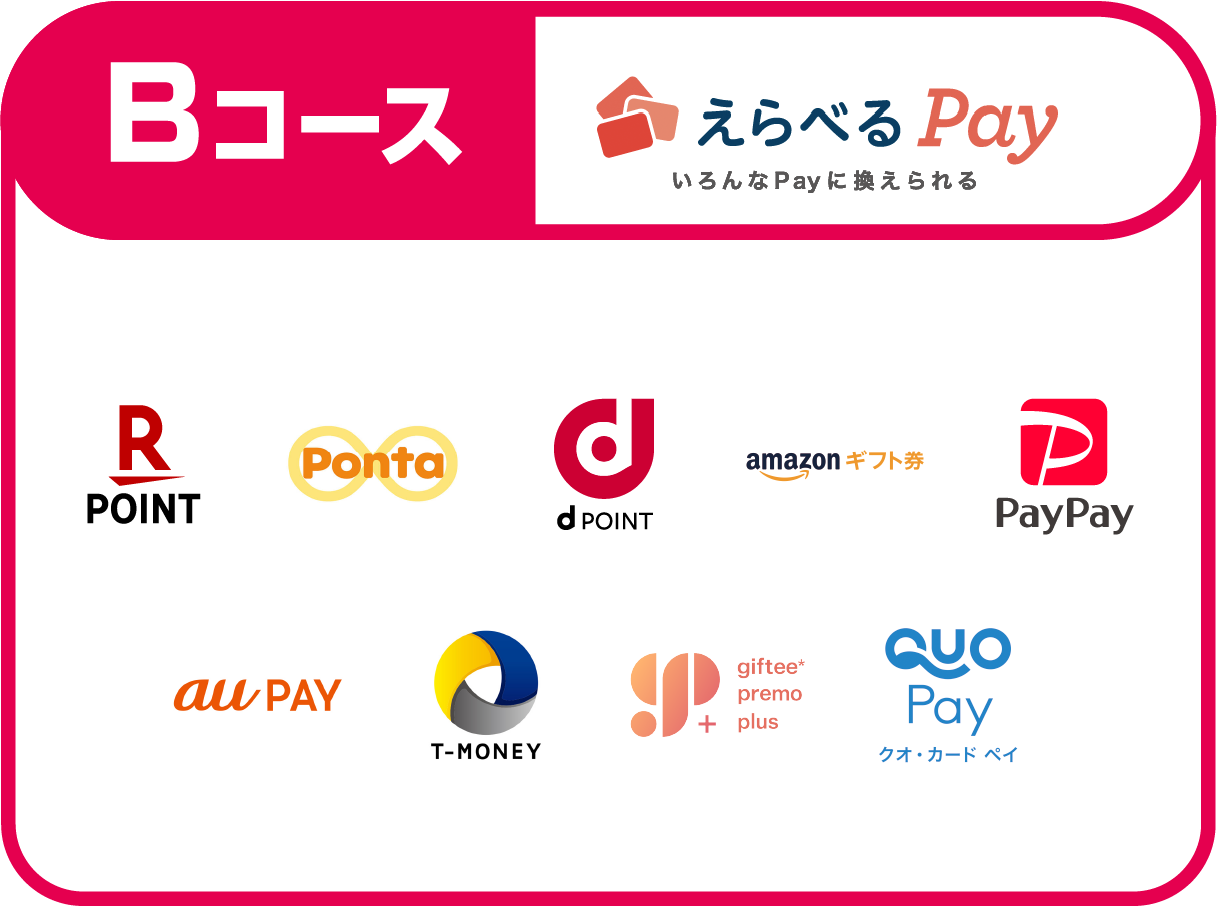 Bコース えらべるPay