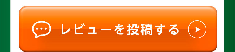 レビューを投稿する