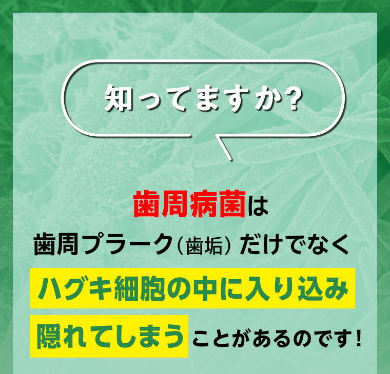 知ってますか？歯周病菌は歯周プラーク（歯垢）だけでなく、ハグキ細胞の中に入り込み隠れてしまうことがあるのです！